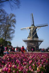Moulin Keukenof_Lisse_Pays-Bas